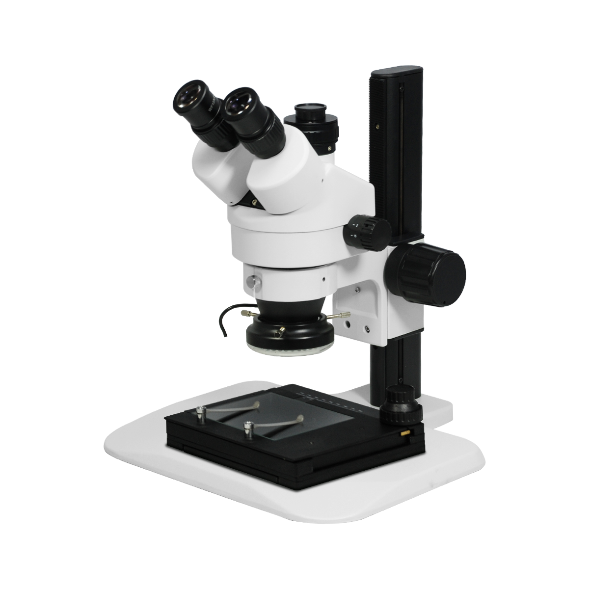 Stereo Microscope